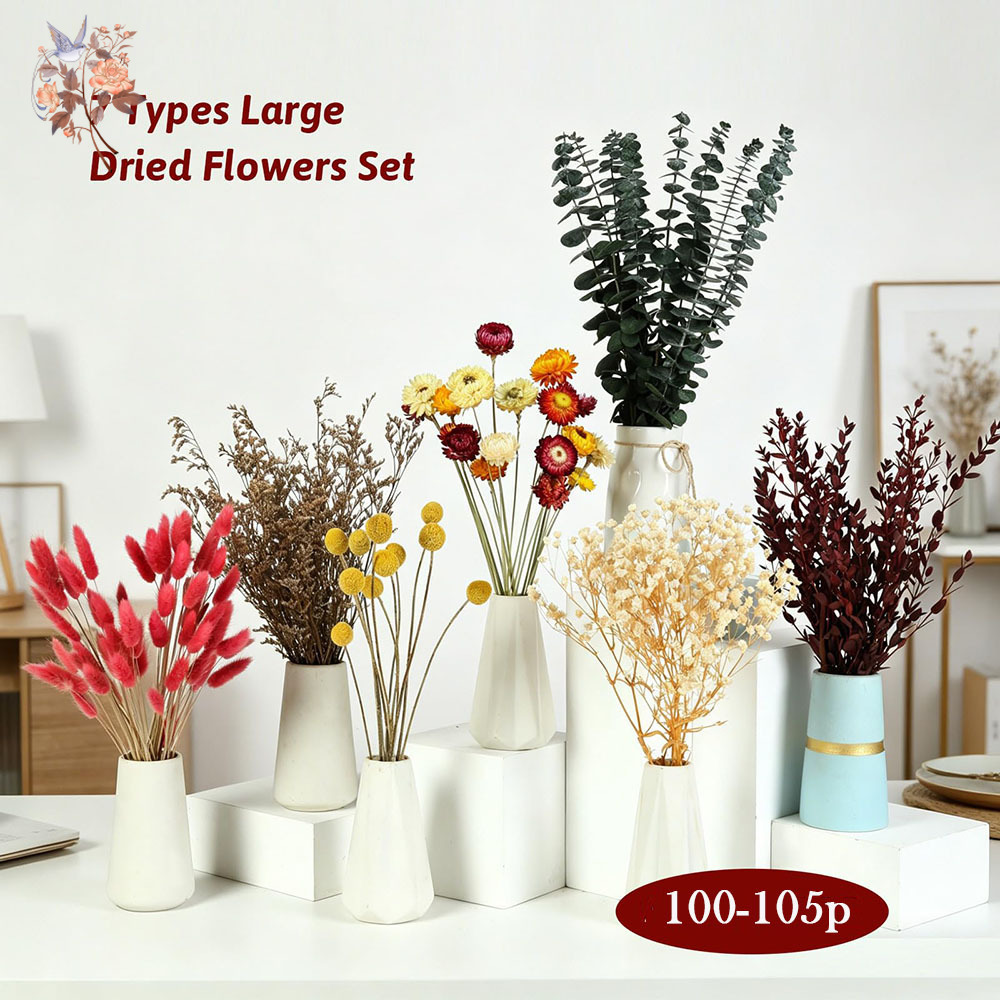 다양한 종류의 드라이 플라워 7종 세트, 자연스러운 유 - Florist Flower Supply 리뷰 및 가격