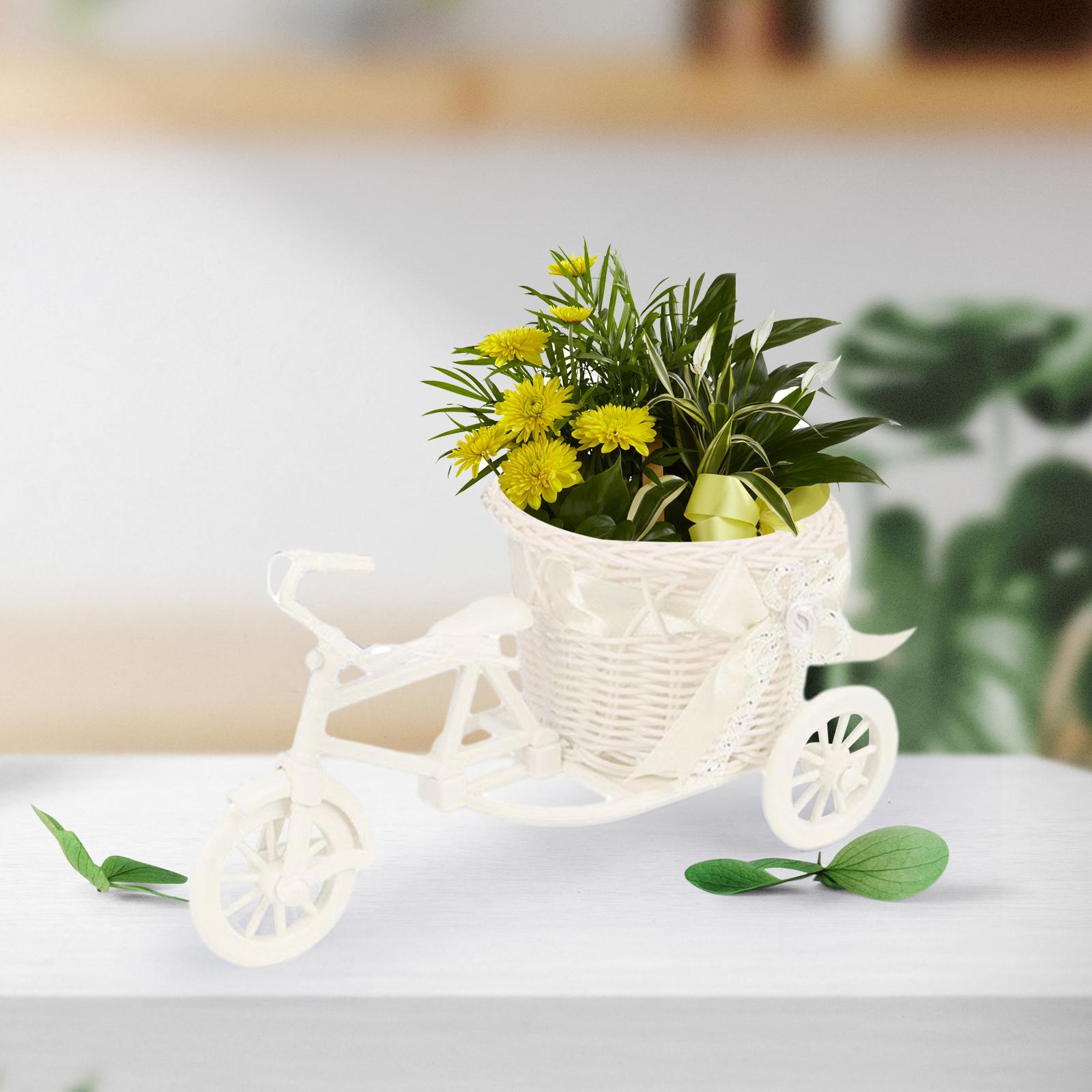 자전거 인공 꽃 바구니 꽃병 미니 선물 삼륜차 화분 식 - Florist Supply Vases 리뷰 및 가격
